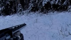 Охота на зайца 19.11.2025. Белая тропа. Просто подождал на переходе.