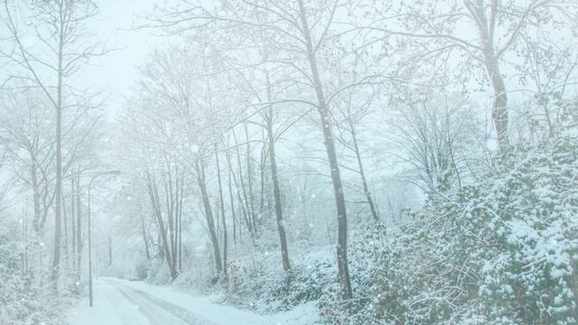 Футаж. Зимний пейзаж 145 смотреть онлайн