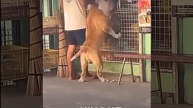 😯😯🤯🤯 смотреть онлайн