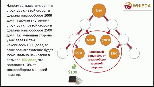МАРКЕТИНГ ПЛАН #WHIEDA кратко