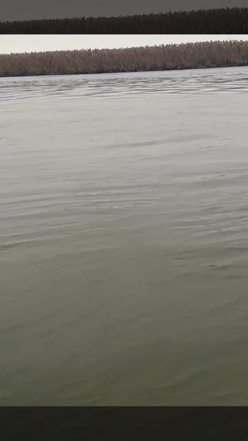 Похоже такого счастья на рыбалке ещё не испытывал никто и никогда!. смотреть онлайн