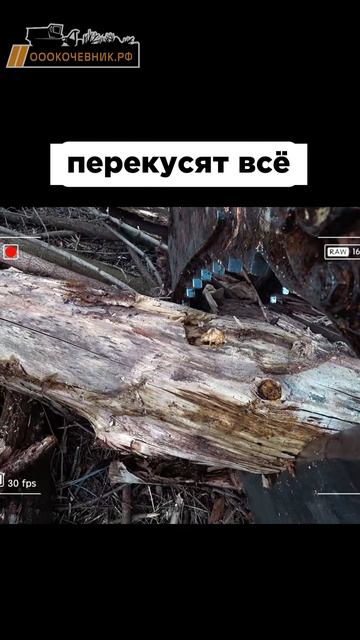 Перекусят всё! ✂️Корчевательные ножницы смотреть онлайн