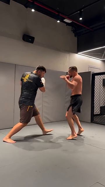 ЯН vs МЕРАБ: скоростная работа No Mercy | UFC смотреть онлайн