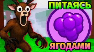 😱99 НОЧЕЙ в ЛЕСУ ПИТАЯСЬ ТОЛЬКО ЯГОДАМИ 99 Nights in the Forest в Роблокс