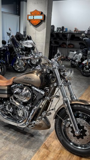 2010 HD Fat Bob CVO (Satin Pewter / Sandstorm Grind)