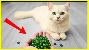 🥴 ЗАЧЕМ он СЪЕЛ ЭТО?! СМОТРИ, что будет!