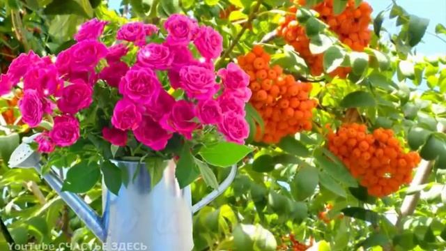 доброе утро