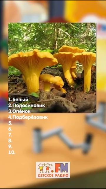 Рубрика "Что за гриб?" А сколько правильных ответов у тебя? #детскоерадио #грибы #игра смотреть онлайн