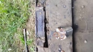 #3куча микроволновок в металлолом .