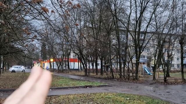 Обзорное