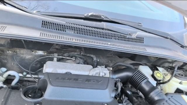 petal_20251120_173339.mp4 смотреть онлайн