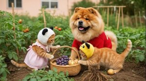 Как котики с собачкой дружили