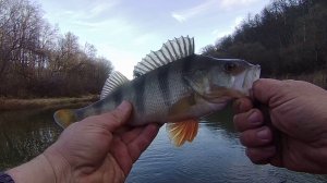 РЫБАЛКА НА ЩУКУ В КОНЦЕ НОЯБРЯ. СПЛАВОМ ПО РЕКЕ. р. Хопёр.