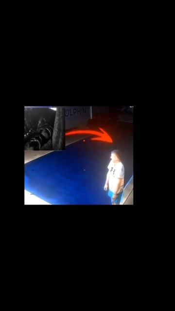 gamemonster эдит смотреть онлайн