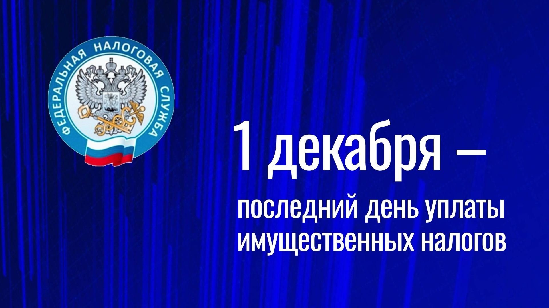1 декабря – последний день уплаты имущественных налогов смотреть онлайн