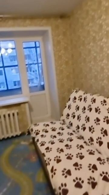 document_5258408441373820567