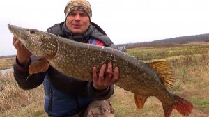 Монстр Маленькой Реки. Трофейная Рыбалка с Берега на Джерки в Ноябре!
