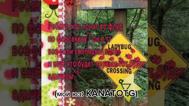 Реклама флуда👀 смотреть онлайн