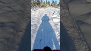 Ларвен на катковой подвеске по путику