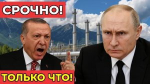 Шок! Турция отказалась продлить газовый контракт с «Газпромом» — миллиардные потери для России