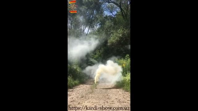 MA0512 Дымовой фонтан Белый (фитиль, 60 сек) 1/20/5 смотреть онлайн