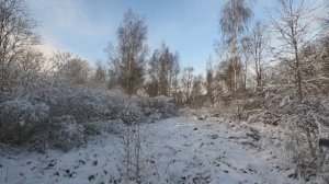 Охота с Добычем 19.11.2025