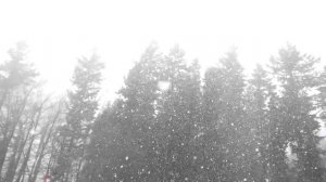 Почему вы впадаете в ступор, когда на вас кричат? Научитесь правильно реагировать на агрессию