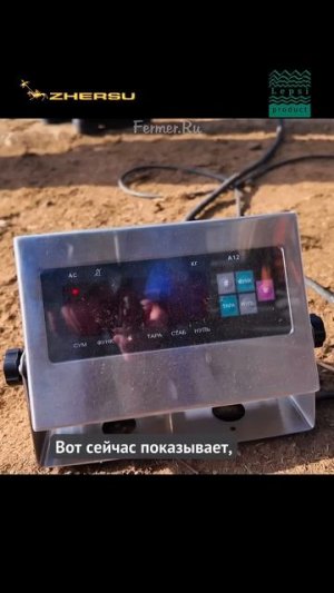 Бойся верблюдов! Следи за собой, будь осторожен