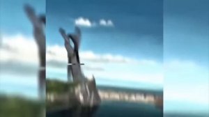 Мачо мен фонк