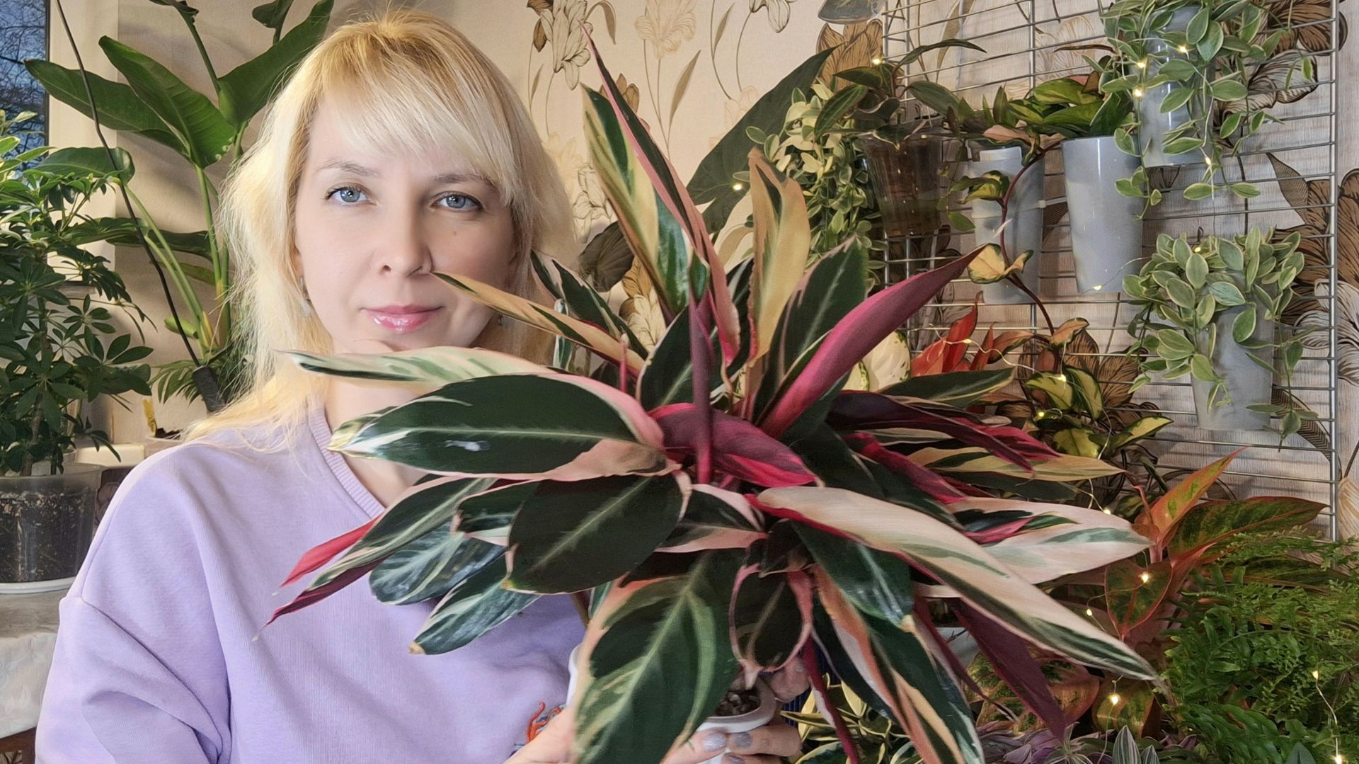 Строманта - результаты на фитильном поливе смотреть онлайн