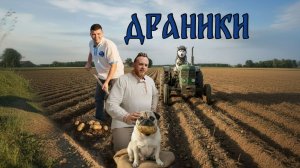 СЫТЫЙ ХАСКИ. ДРАНИКИ