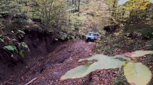 Охота на Кабана и Медведя