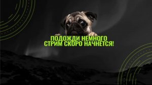 Короткий Стрим по Total Conflict Resistance