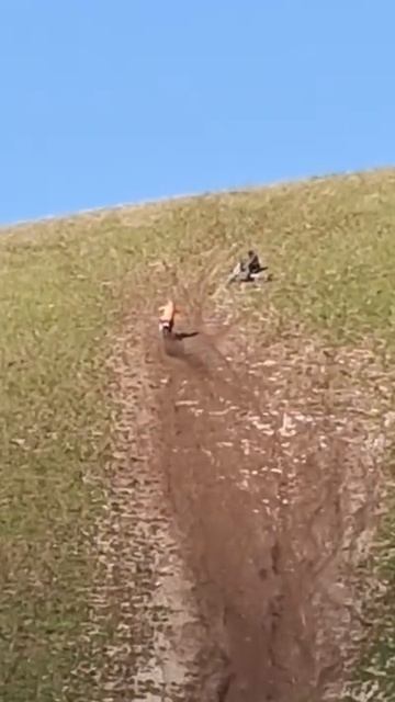 2025_05_07_19_15_IMG_0842 смотреть онлайн