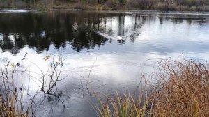 Федор Тютчев "Чему бы жизнь нас ни учила…". Читает Анатолий Алымов