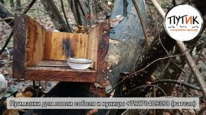 Как защитить приманку от мышей? Охота на соболя и куницу. Капканный промысел