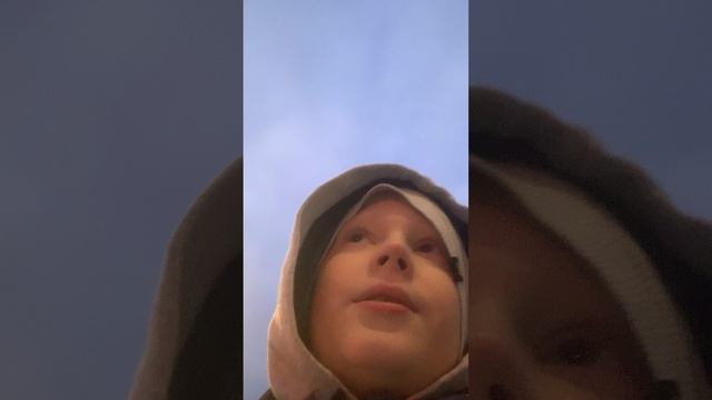 факты в 99 ночей в лесу как воскресить оленя и другие факты