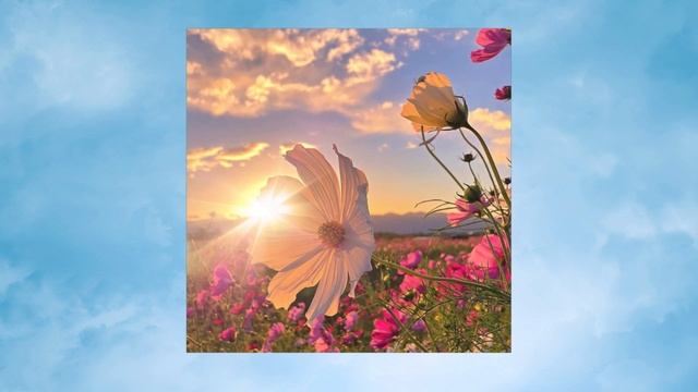 Когда за дымкою туманной