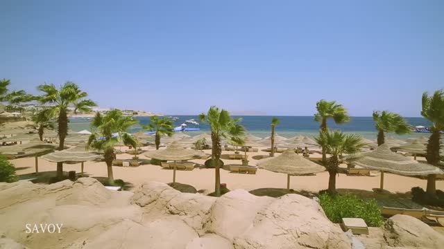 Savoy Sharm El Sheikh 5*