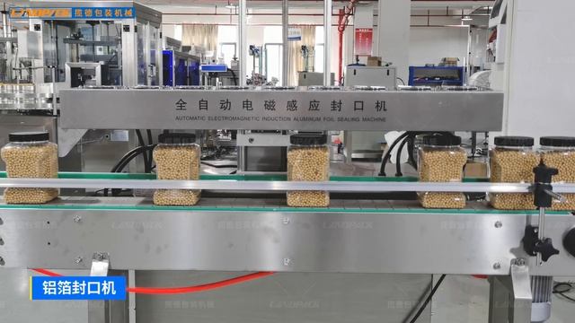 Готовая линия для сыпучих продуктов смотреть онлайн