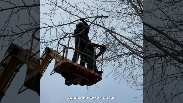 🌳Продолжается работа по содержанию зеленых насаждений! смотреть онлайн