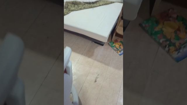 Саша приехал смотреть онлайн