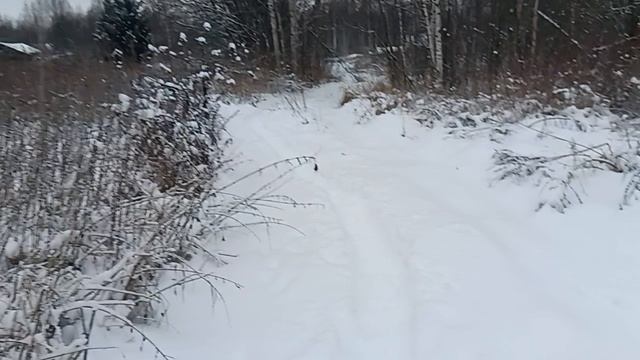 завалило Снегом нас - пришла Зима смотреть онлайн