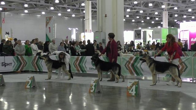 Сравнение на ЛК смотреть онлайн