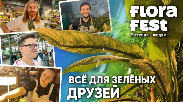 ЭКЗОМЕНЮ на FLORA FEST 2025. Всё для зелёных друзей.