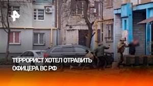 Сгенерированная Полина и отравленное пиво: Киев пытался убить офицера ВС РФ