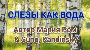 СЛЕЗЫ КАК ВОДА Автор Мария Ром #песня #музыка #марияром