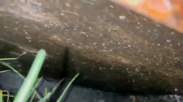 12-11-2025 смотреть онлайн