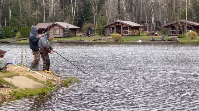 IMG_5320 смотреть онлайн