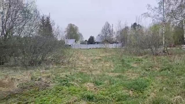 Видео смотреть онлайн